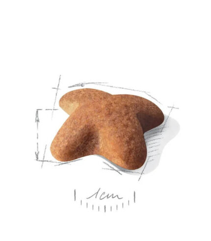 ROYAL CANIN Beagle Adult - hrana za odrasle biglove 12+ meseci (3kg)