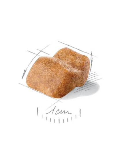 ROYAL CANIN Bulldog Puppy - hrana za buldoge do 12 meseci (3kg, 12kg)