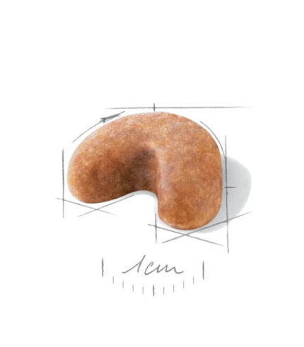 ROYAL CANIN French Bulldog Puppy - hrana za francuske buldoge do 12 meseci (1kg, 3kg)