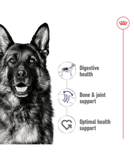 ROYAL CANIN Maxi Adult Loaf - vlažna hrana za odrasle pse velikih rasa 26-44kg (410g)