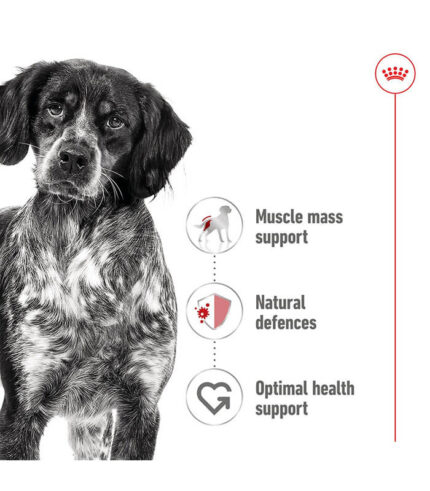 ROYAL CANIN Medium Adult Loaf - vlažna hrana za odrasle pse srednjih rasa 11-25kg (410g)