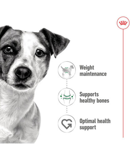 ROYAL CANIN Mini Adult Loaf - vlažna hrana za odrasle pse malih rasa do 10kg (195g)