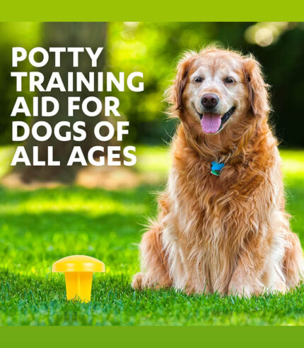 SIMPLE SOLUTION Pee Post - feromonski stubić za trening pasa na otvorenom