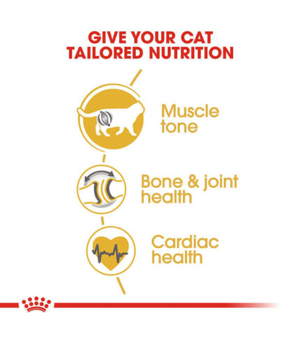 ROYAL CANIN British Shorthair Adult - hrana za odrasle britanske kratkodlake mačke (400g, 2kg)