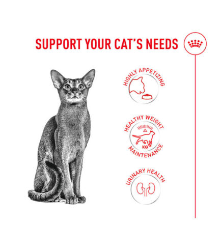 ROYAL CANIN Fussy - hrana za izbirljive mačke sa slabijim apetitom (400g, 2kg)